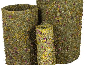 JR Frühlings-Rolle mittel 430g