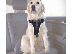 Trixie Auto-Sicherheitsgeschirr Dog Protect - S-M: 40-55 cm