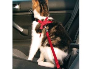 Trixie Sicherheitsgurt für Katzen