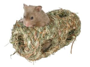 Trixie Grasnest klein - ca. 9 x 18 cm