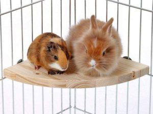 Karlie Holz-Sitzecke - Klein