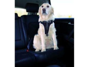 Trixie Auto-Sicherheitsgeschirr Dog Protect - M: 50-65 cm