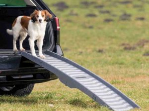 Trixie 3-fach Klapp-Rampe, Kunststoff/TPR