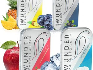 Wunderzahnstocher-Starterpack Metallbox (4x100 Stück)