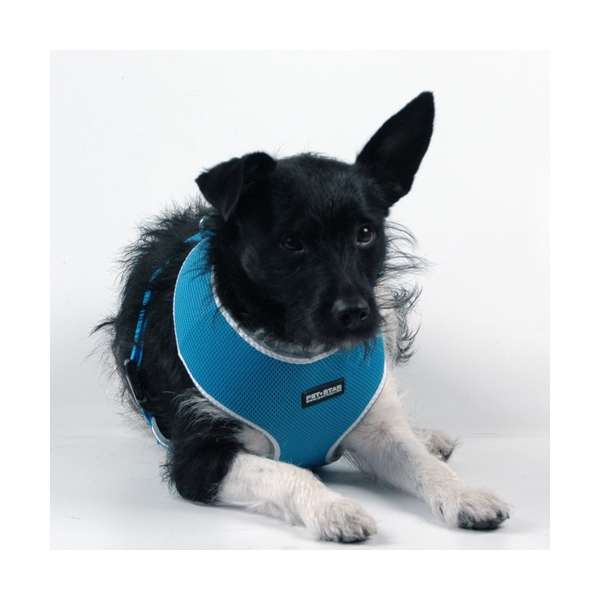 Pet-Star Softgeschirr / Netzgeschirr - Blau - XL – Bild 5