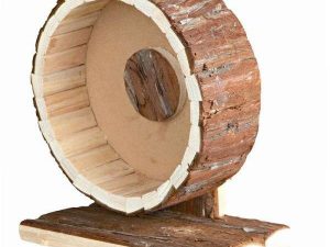 Trixie Laufrad aus Naturholz - 23 cm