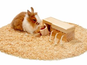 Karlie Rody Brain Train Cube mit 4 Klötzen