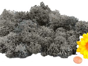 Muwse Islandmoos Titangrau 25 g händisch gerupft Osternest Weihnachtskrippe