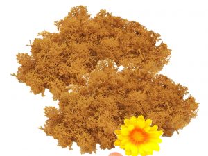 Muwse Islandmoos Melonengelb 50 g händisch gerupft Osternest Weihnachtskrippe