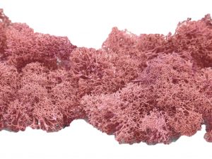 Muwse Islandmoos Rosa 50 g händisch gerupft Osternest Weihnachtskrippe