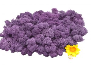 Muwse Islandmoos Flieder 100 g Basteln Wandbilder Dekoration Gestalten