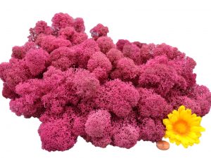 Muwse Islandmoos Veilchen Pink 100 g Maßstab Spur 1 Modellbau