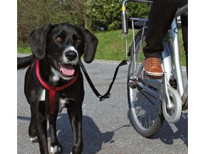 Trixie Biker-Set, Gr. S-M