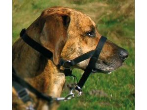 Trixie Top Trainer Ausbildungsgeschirr - max. 37 cm