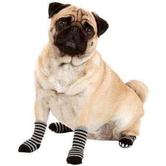 Karlie Doggy Socks Hundesocken 4er Set - Schwarz/Grau - L – Bild 6
