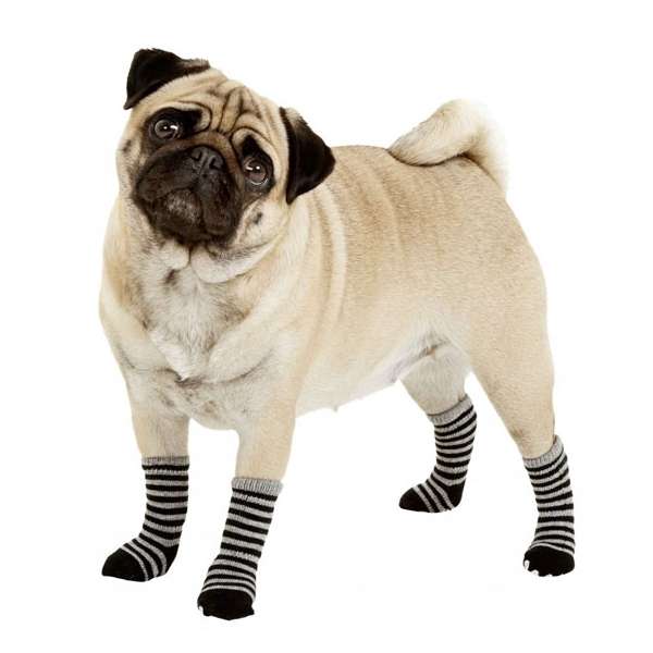 Karlie Doggy Socks Hundesocken 4er Set - Schwarz/Grau - L – Bild 5