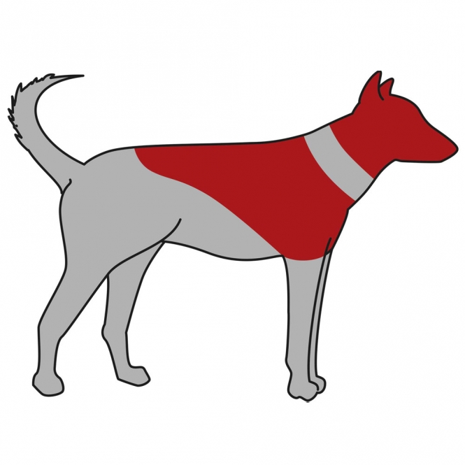 Trixie Schutzkragen, aufblasbar - M – Bild 4