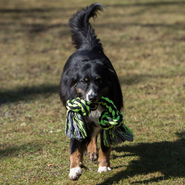 PROCYON XXL-Kauseil - 3 Knoten / 75 cm – Bild 6