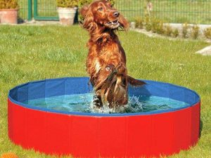 Karlie DOGGY POOL der Swimmingpool für Hunde - Rot-Blau - 120 cm