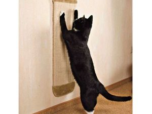 Trixie Kratzbrett XL mit Plüsch