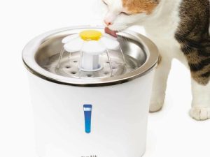 Catit Blumentrinkbrunnen mit Edelstahleinsatz