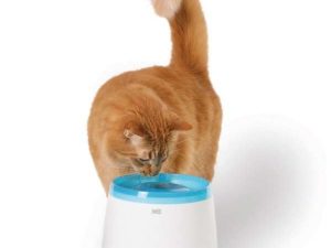 CATIT Fresh+Clear Trinkbrunnen 2L - Blau