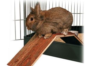 Trixie Brücke zum Verlassen des Käfigs