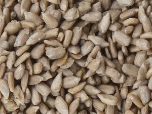 Pfiffikus Sonnenbl.schalenlos 10kg