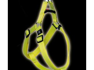 Karlie ASP Reflex Geschirr - Gelb - 42 - 60 cm