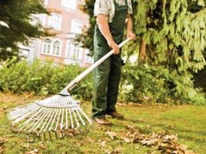 Laubbesen Arbeits-B.450mm Stahl,verz.feststehend FLORA - VPE: 10