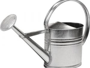 Gießkanne 10l silber MET verz.