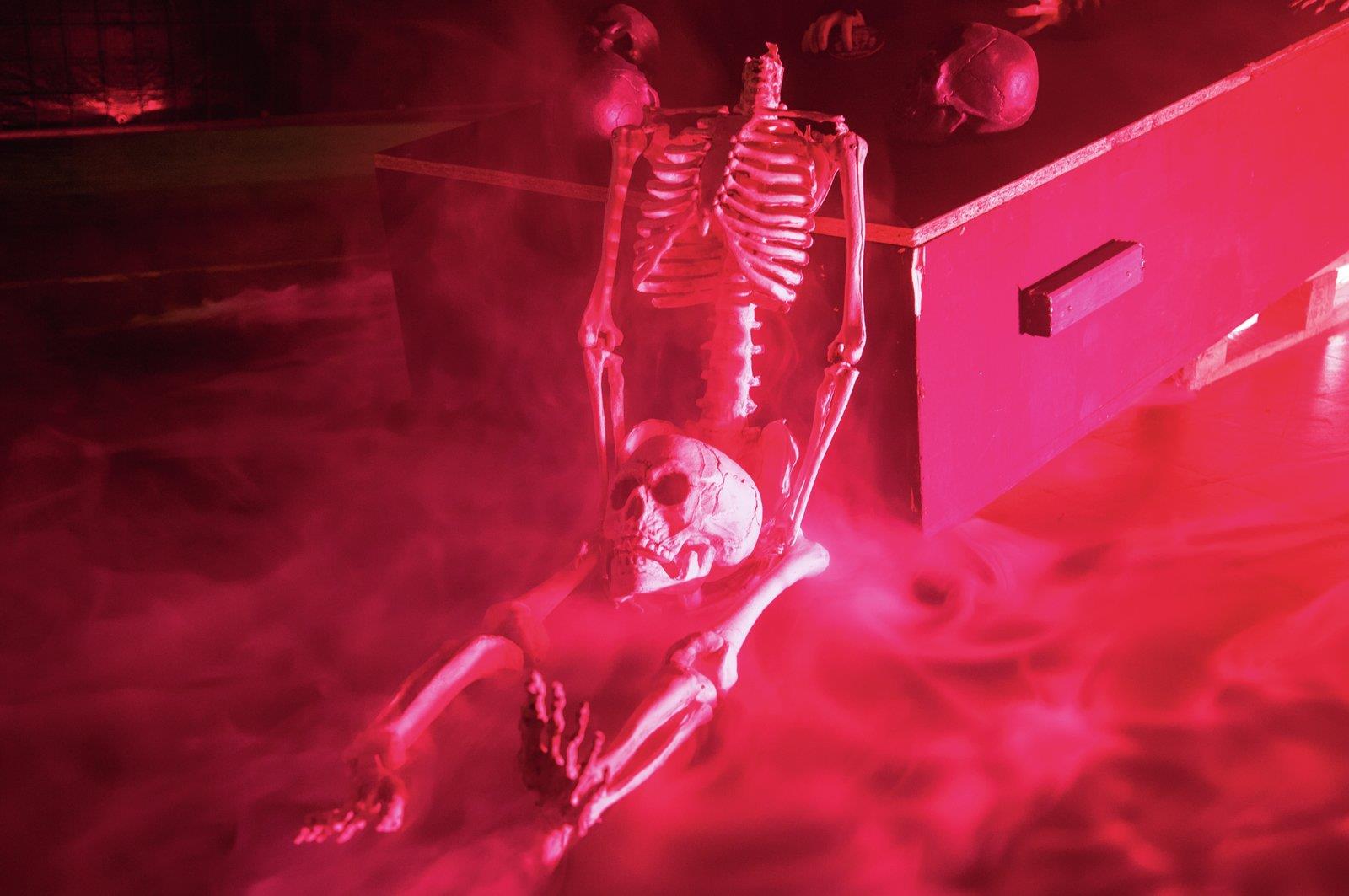 EUROPALMS Totenschädel, schwarz