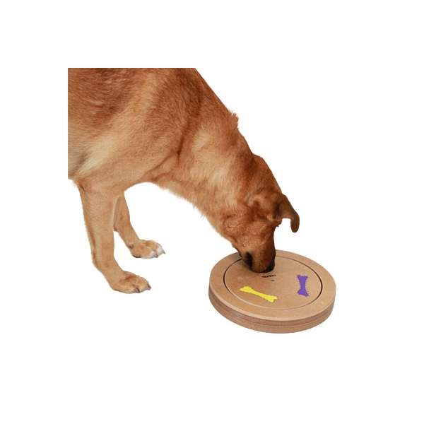 Kerbl Denk- & Lernspiel Duo – Bild 3