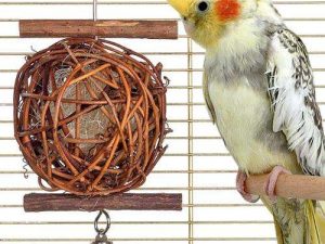 Karlie Wooden Bird Ball - 10 cm