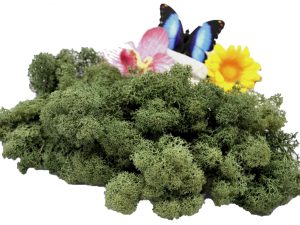 Muwse Islandmoos Tannengrün 25 g Maßstab Spur G Modellbau