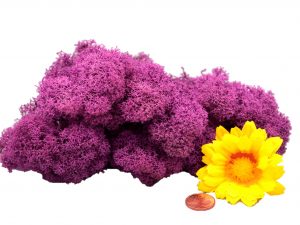 Muwse Islandmoos Viola 25 g Maßstab Spur G Modellbau