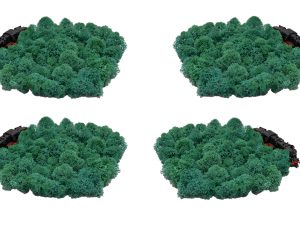 Muwse Islandmoos Kieferngrün 100 g Maßstab Spur N Modellbau