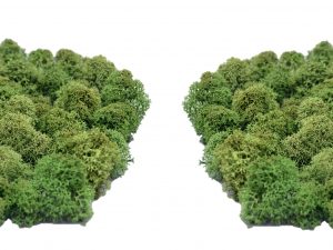 Muwse Islandmoos Tannengrün 50 g Maßstab Spur N Modellbau