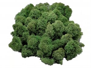 Muwse Islandmoos Tannengrün 50 g Maßstab Spur 0 Modellbau