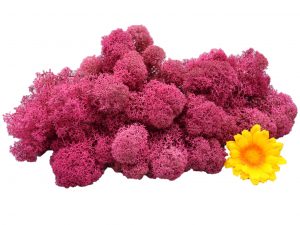 Muwse Islandmoos Veilchen Pink 50 g Maßstab Spur 0 Modellbau