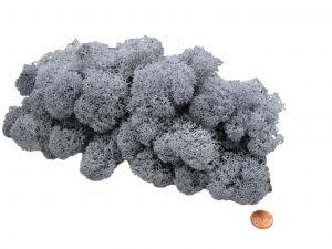 Muwse Islandmoos Titangrau 50 g Maßstab Spur 0 Modellbau