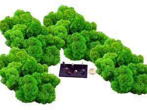 Muwse Islandmoos Grasgrün 100 g Maßstab Spur TT Modellbau