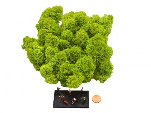 Muwse Islandmoos Frühlingsgrün 25 g Maßstab Spur TT Modellbau