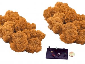 Muwse Islandmoos Melonengelb 50 g Maßstab Spur TT Modellbau