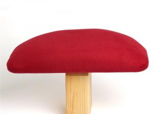 Meditationsbank Dandeli