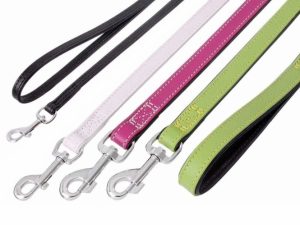 Karlie VINTAGE Leine - Kiwi / 100cm, 22mm