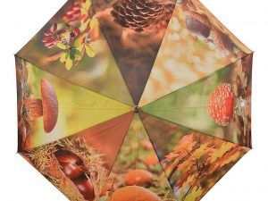 Regenschirm Herbstmotive