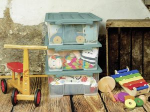 ROTHO Aufbewahrungsbox 'Evo Safe'