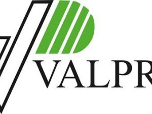 Automatik-Ausgussstutzen f.Valpro Kraftstoffkanister 5+10l f.Bajonettverschluss