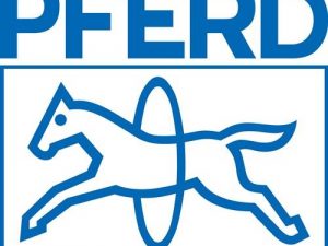 Polierpastenriegel PP Hochglanzpolitur rosa PFERD